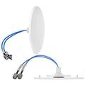 Ultra Low Profile 2-Port MIMO Indoor Ceiling Mount Antenna, 4.3-10 Female