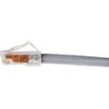 Patch Cord Gigaspd XL GS8E 100 ft