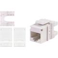 White CAT3 RJ-12 6 Wire Keystone Male