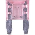 Plastic ATM Fuse in Pink, 4 A, 32 V, 10 Pack