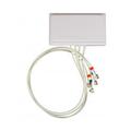 2.4/5 GHz 6 dBi Wi-Fi Directional Antenna with 4 RPTNC Male Connectors