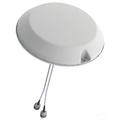 698 - 2700 MHz Low PIM 2 Port MIMO Omni Ceiling Mount Antenna with 4.3-10 Female
