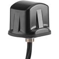 Trooper™ 5-Port Multiband Antenna, LTE/802.11ac Wi-Fi/GNSS in Black