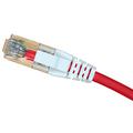 9.8 ft 26 AWG Cat 6 TIA 568A Patch Cord with RJ45 Male in Unshielded Red, LSZH