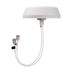 617 - 6000 MHz Cell-Max Low PIM Omni MIMO 2x2 In-building Antenna, 4.3-10 Female