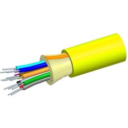 TeraSpeed Riser Dist. Cable, 24 fiber Single-unit