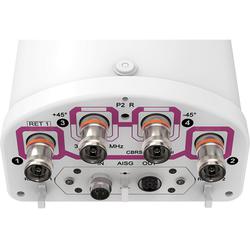 4x 3100 - 4200 MHz 65 Deg HPBW Sector Antenna with 4x 4.3-10 Female Connectors