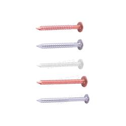 6d Stainless Steel Ringed Nail