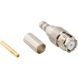 50 Ohm Mini-UHF Female Straight Crimp Connector for RG-58