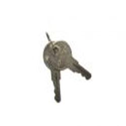Polycarbonate CAT60 Enclosure Replacement Key Set