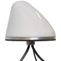 Wide Band Ant, Custom