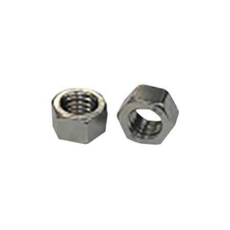 1/4 in SS Hex Nut