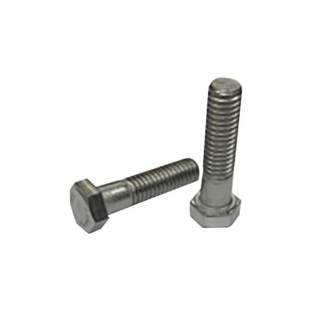SS Hex Bolt 1/4 in x 1 in