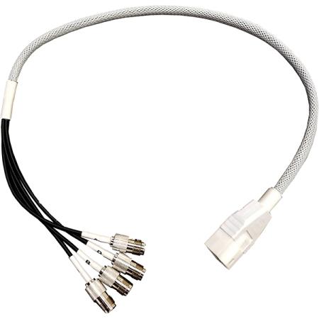 2 ft LMR®-100 Cable Assembly with 4-Port RPTNC Female Bulihead - RA DART