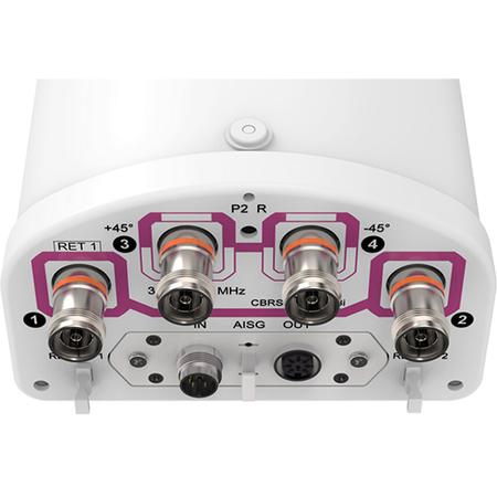 4x 3100 - 4200 MHz 65 Deg HPBW Sector Antenna with 4x 4.3-10 Female Connectors