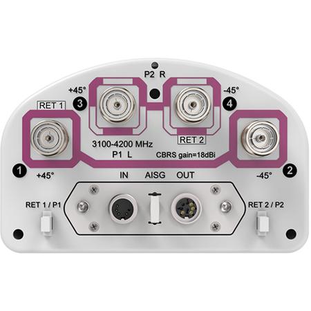 4x 3100 - 4200 MHz 65 Deg HPBW Sector Antenna with 4x 4.3-10 Female Connectors