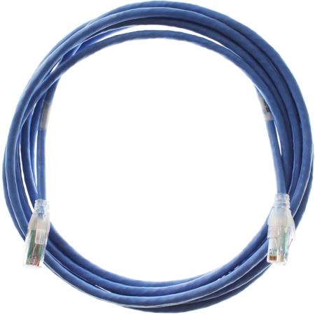 50ft Patchcord BCAT6+ CMR BLU