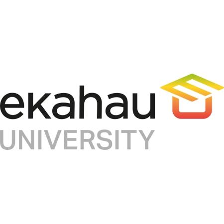 ECSE Design Class Online Max 12 Students