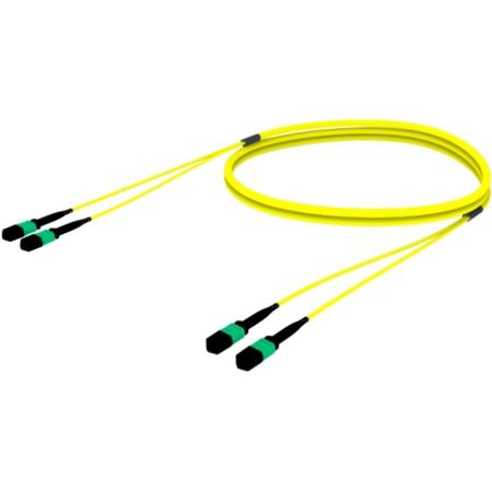 TeraSPEED 100Ft Patch Cbl
