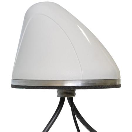 Wide Band Ant, Custom