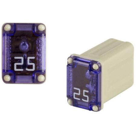 FMM Micro Female Time-Delay Fuses