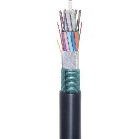 48F CampusLink Loose Tube Plenum Cable, SM