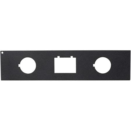 Dodge Charger 2011-2013 Filler Plate Black