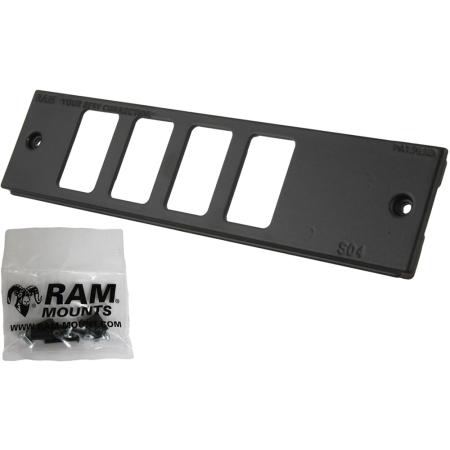 Custom 2 in Faceplate 4 Switches